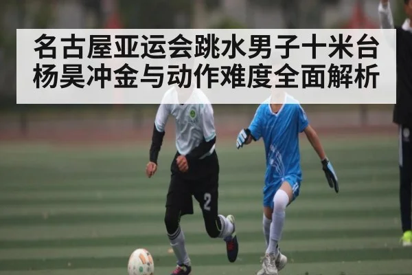 名古屋亚运会跳水男子十米台杨昊冲金与动作难度全面解析